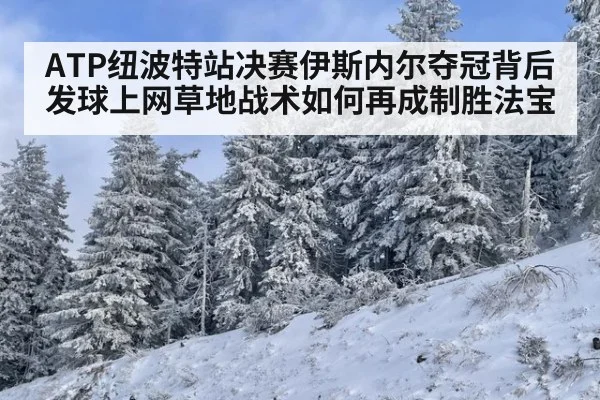 ATP纽波特站决赛伊斯内尔夺冠背后 发球上网草地战术如何再成制胜法宝